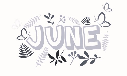 June Social - Cancelled