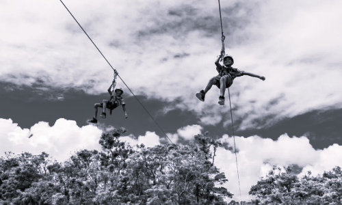 Summer Party 2024: Zip-lining & Diecast Caravan